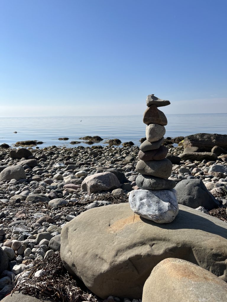 tilbud forløb