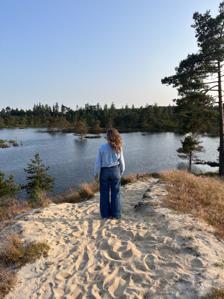 søger du fred og ro